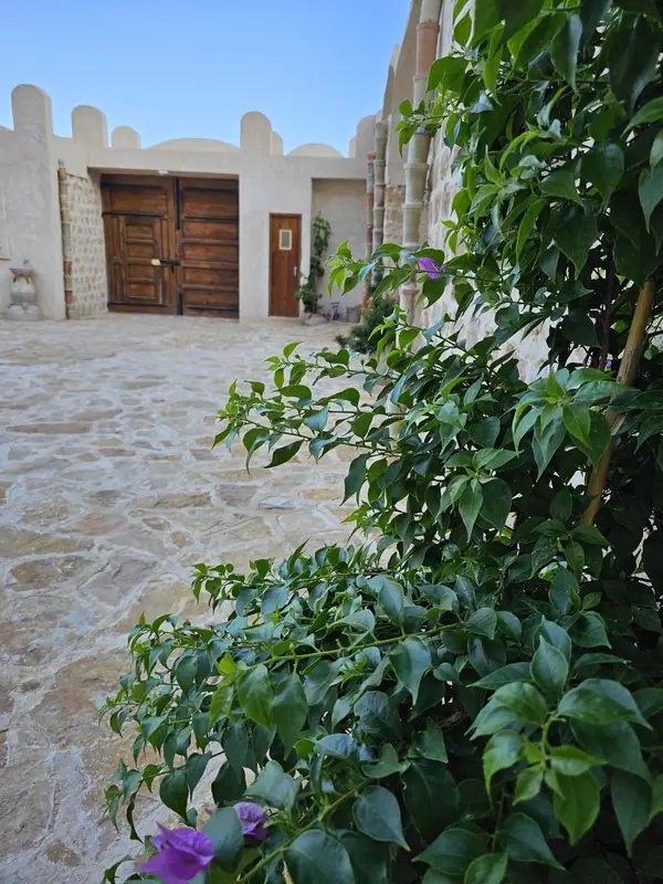 Le patio de Dar Zmen et ses bougainvilliers